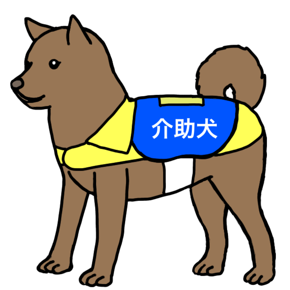 聴導犬 ちょうどうけん って知っていますか 音を知らせるお手伝いをする犬です えんそうブログ わらしとわたし